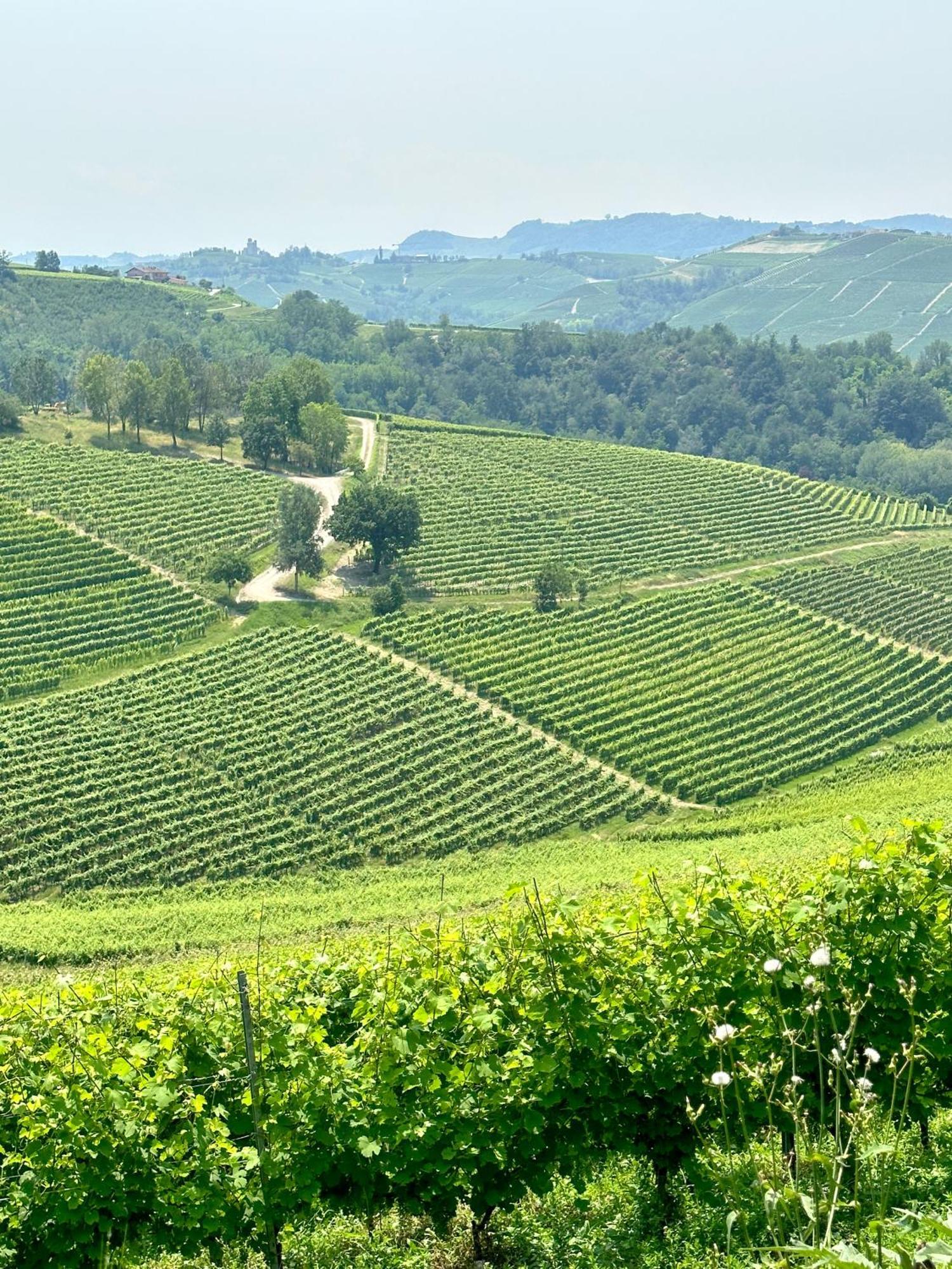 Villa Just Langhe Casa Barolo Novello Exterior foto